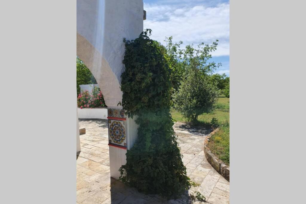 Вилла Trulli Relax A Мартина-Франка Экстерьер фото